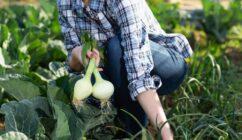 L’agriculture, une filière dynamique aux métiers multiples