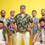 Avoine – METRO COMBO