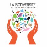 Levroux – Regards Croisés sur la Biodiversité : Exposition & Immersion Numérique