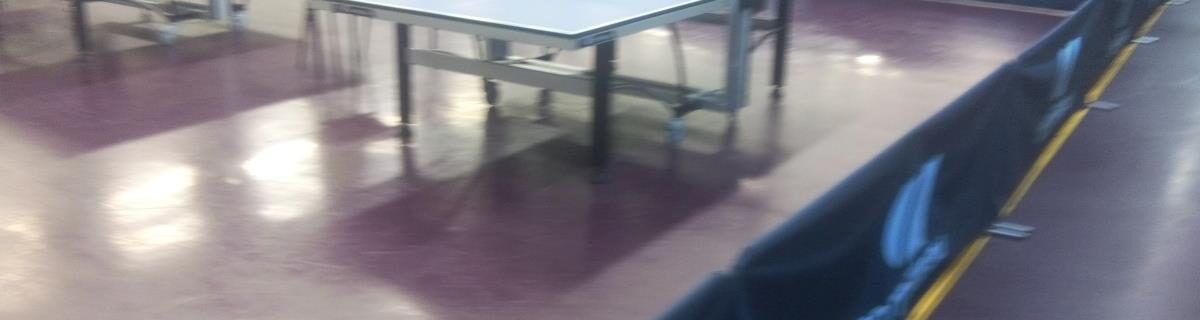 Saint-Avertin Sports Tennis de Table