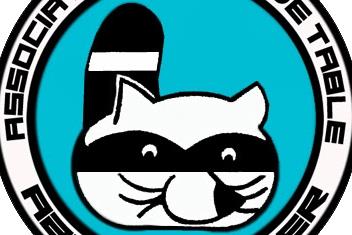 ASSOCIATION TENNIS DE TABLE D’AZAY SUR CHER