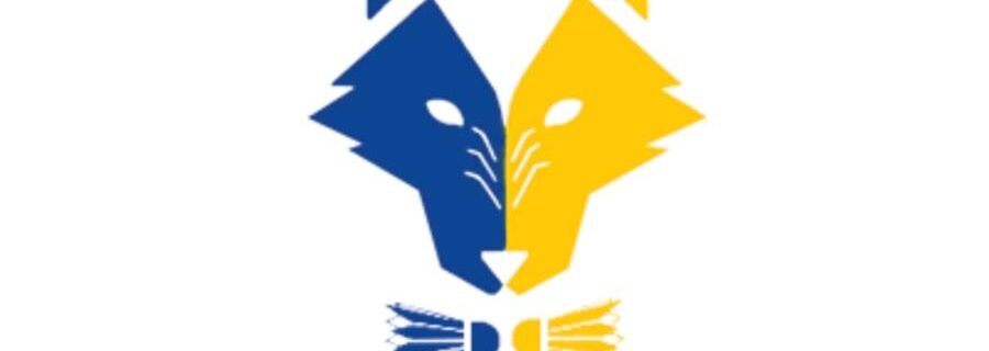 BLOIS BADMINTON CLUB