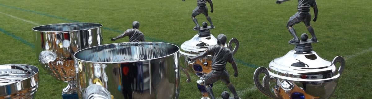 JARGEAU ST DENIS FOOTBALL CLUB