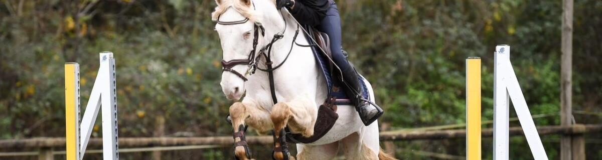 CENTRE EQUESTRE DU BARANGEON