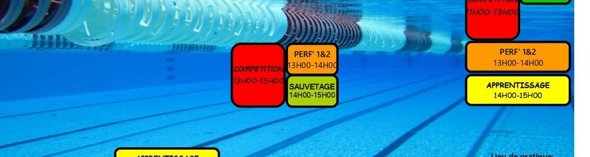 PISCINE LES MENIGOUTTES