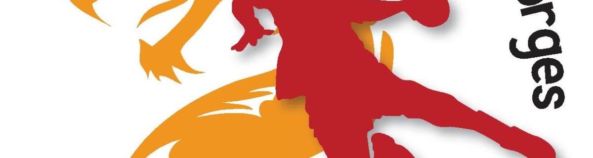 Gymnase de St Georges sur cher