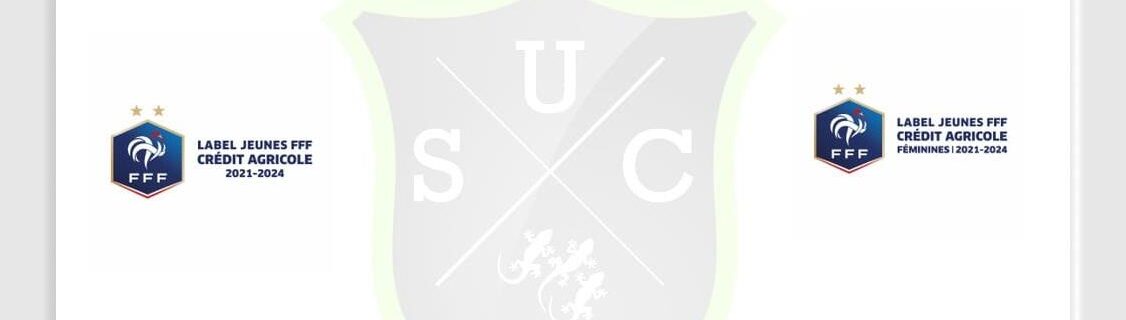 Chateauneuf sur Loire Football