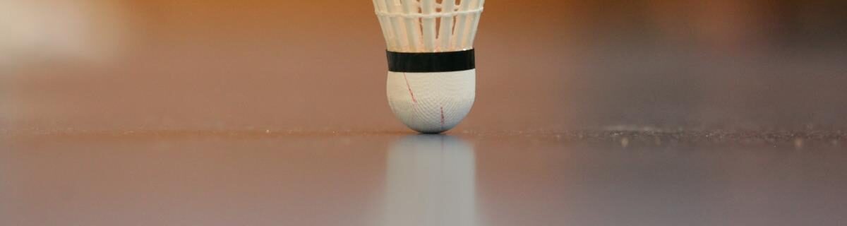 badminton club le châtelet