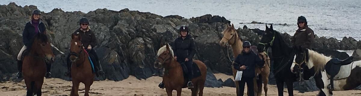 la licorne, 28240 le thieulin