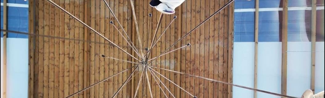 ESCRIME SUD LOIRE 45