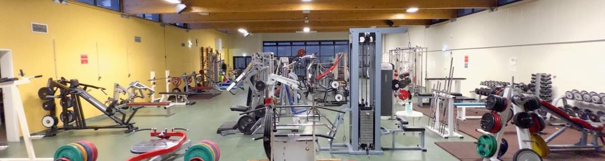 USA Musculation Fitness