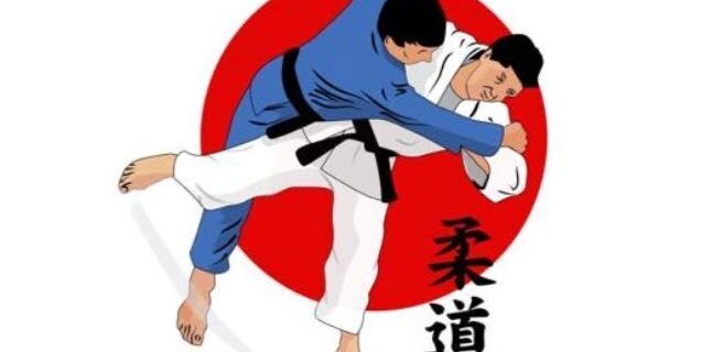 ASSO SPORTIVE JUDO CHAINGY