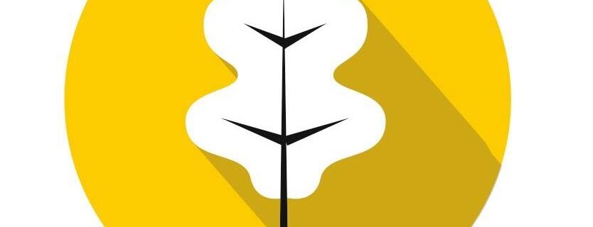 Festival Concerts d&rsquo;automne