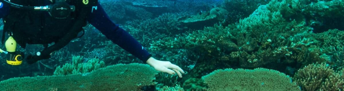 Centre aquatique de Beaugneyc – Beaugency Plongée