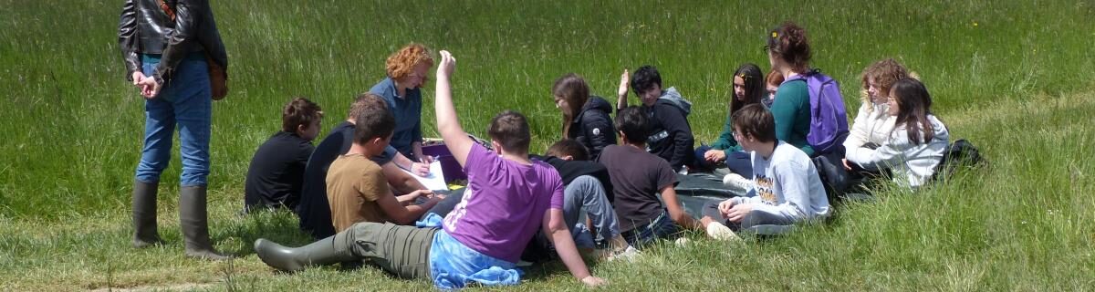 Réseau régional des acteurs de l&rsquo;EEDD