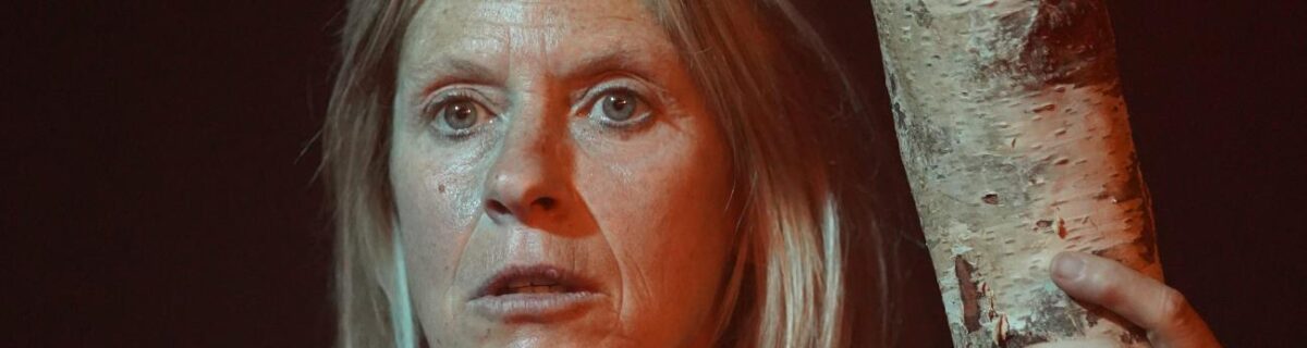 Nogent-le-Rotrou – SON ODEUR APRES LA PLUIE