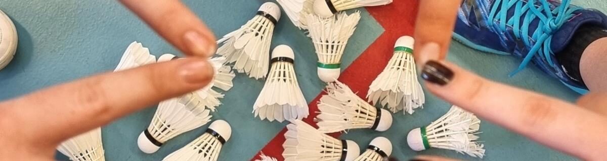 Gymnase « La Salamandre »