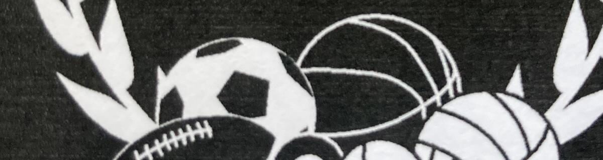 ASSOCIATION SPORTIVE DU LYCÉE DESSAIGNES