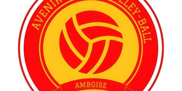 Association Avenir Amboise Volley Ball