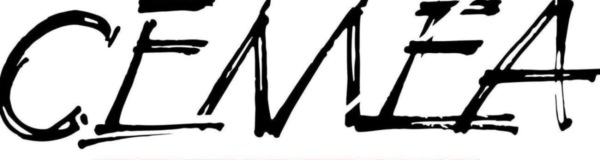 Joué-lès-Tours-BAFA-Session appronfondissement Multi activités/Accueil du public en situation de han