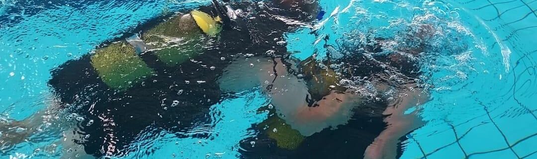 piscine intercommunale de Courville sur Eure