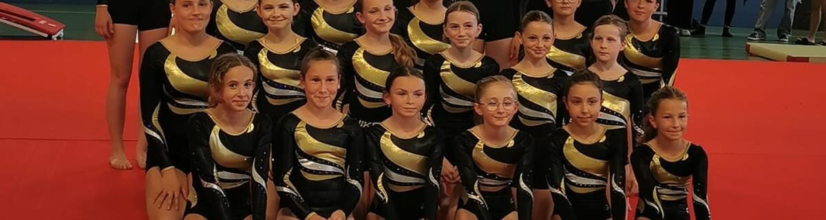 Vineuil-Sports Gymnastique Artistique