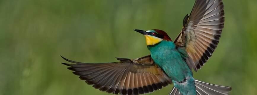 FESTIVAL NATUR&rsquo;ART