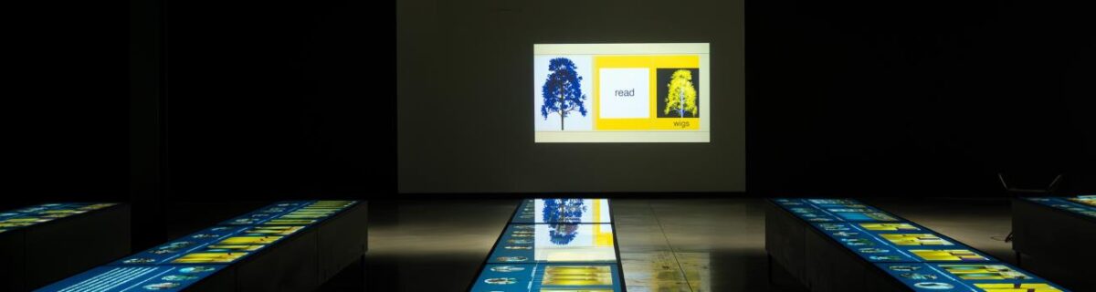 visite commentée · intrigues et notes pour une comédie institutionnelle