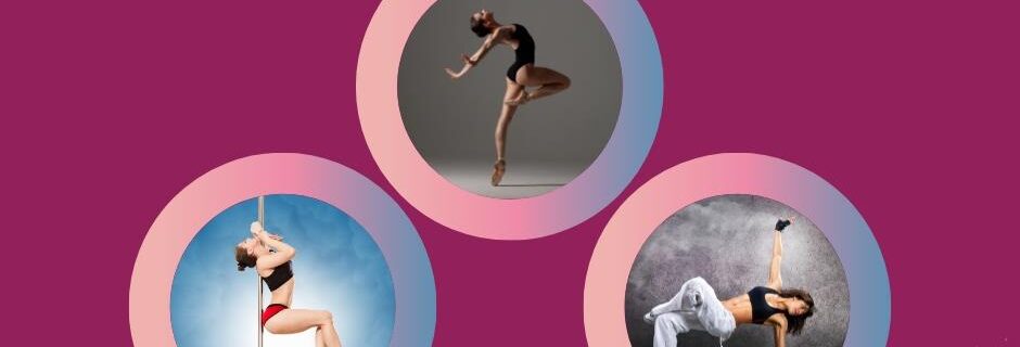 Pole And Dance Passion Mehun