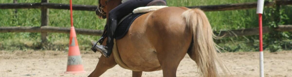 PONEY CLUB DE SAINT GERVAIS LA FORET