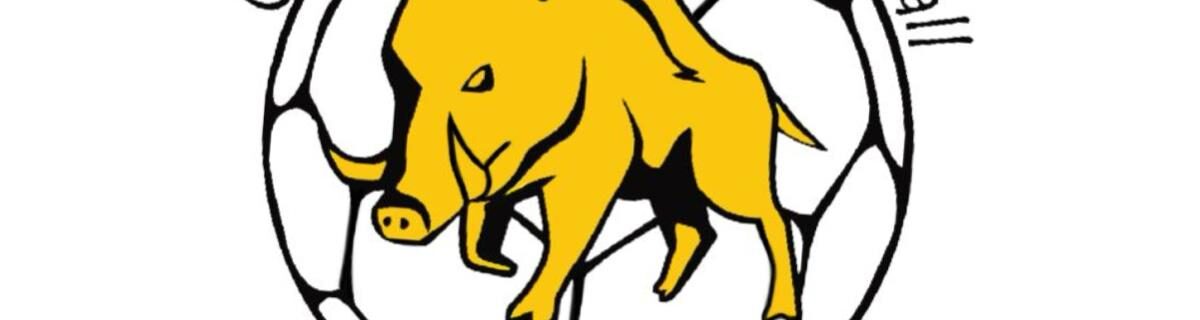 OUZOUER SUR LOIRE HANDBALL