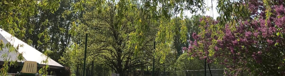 C&rsquo;Chartres Tennis