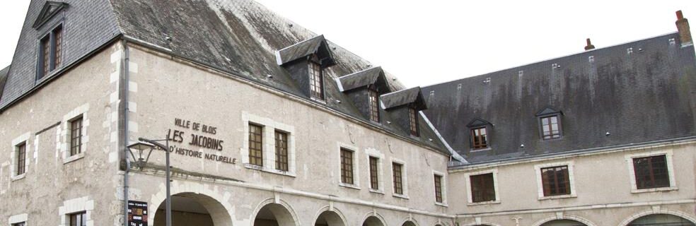 Muséum d&rsquo;histoire naturelle de Blois