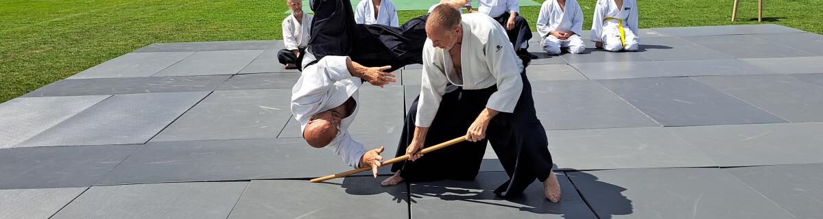 DAC AIKIDO