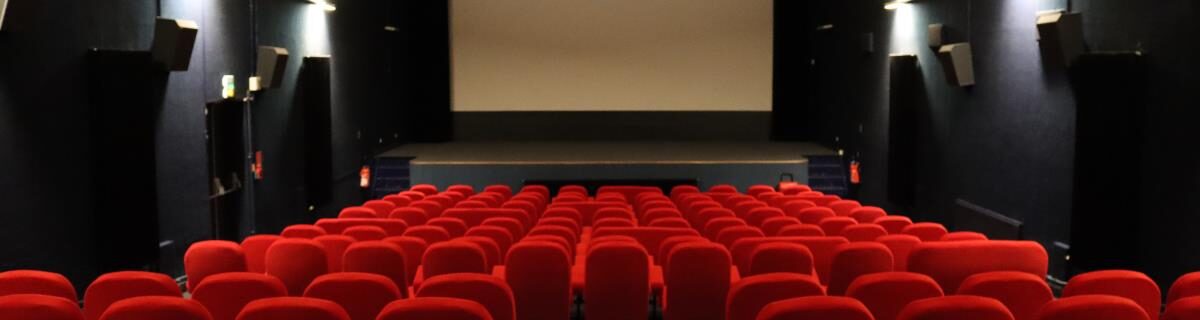 Cinéma Le Rio